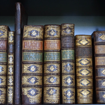 Dorso dei libri facenti parte delle collezioni librarie della Biblioteca